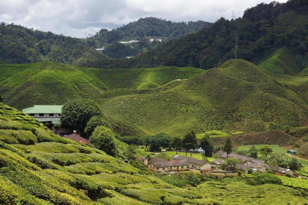Oyo 90722 D'Puncak Hotel Cameron Highlands Exterior foto